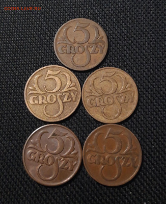 ПОЛЬША 5 ГРОШЕЙ 1928 - 1939 года 5 монет в лоте До 10.11 - 20251018_221700