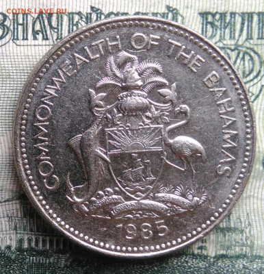 Багамы 25 центов 1985 года до 10.11.2025 - IMG_20251102_202853