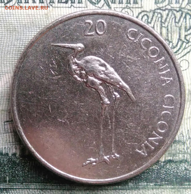 Словения 20 толаров 2004 года до 10.11.2025 - IMG_20251101_221255