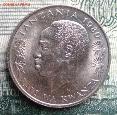 Танзания 50 сенти 1980 года до 10.11.2025 - IMG_20251101_220500