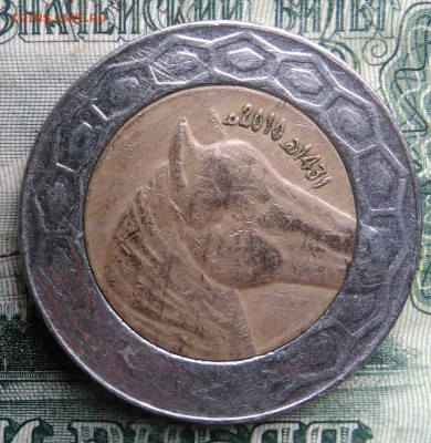 Алжир 100 динар 2010 года до 10.11.2025 - IMG_20251101_220012
