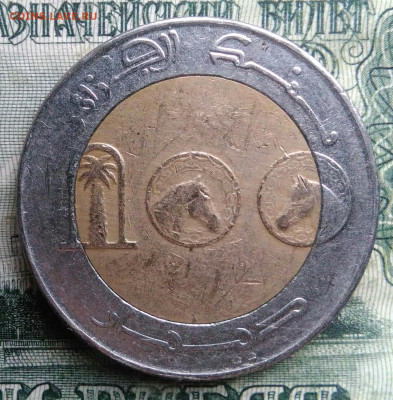 Алжир 100 динар 2010 года до 10.11.2025 - IMG_20251101_220030