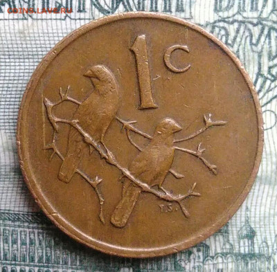 Южная Африка 1 цент 1979 года до 10.11.2025 - IMG_20251102_200814