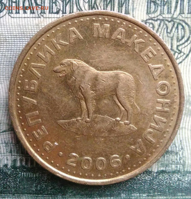 Македония 1 денар 2006 года до 10.11.2025 - IMG_20251102_200940