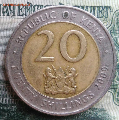 Кения 20 шиллингов 2009 года до 10.11.2025 - IMG_20251102_202607