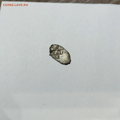 Деньга Иван III, лит. М (1), до 08.11.25г. - IMG_20251103_205739