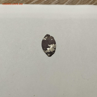 Деньга Иван III, лит. М (2), до 08.11.25г. - IMG_20251103_205841