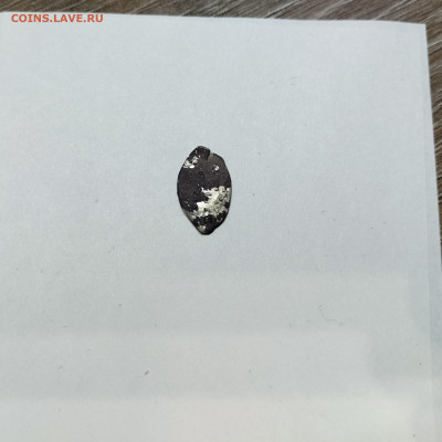 Деньга Иван III, лит. М (2), до 08.11.25г. - IMG_20251103_205830