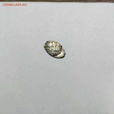 Деньга Иван III, лит. Б, до 08.11.25г. - IMG_20251103_205942