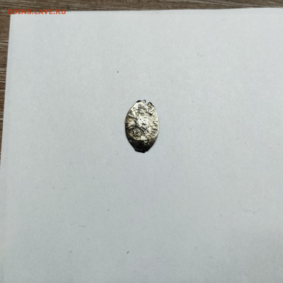 Деньга Иван III, лит. Б, до 08.11.25г. - IMG_20251103_205920