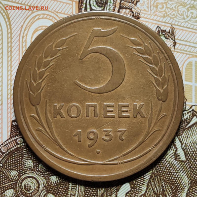 5 копеек 1937 в приятном сохране. До 08.11 в 22:10 мск - IMG-20251104-WA0015