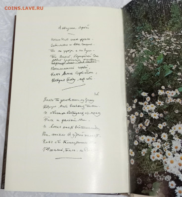 ТЮТЧЕВ, СТИХИ, ФОТОАЛЬБОМ 08.11.25. 22:00 МСК - IMG_20251105_211909_edit_1897427574719479