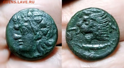 Монета Северного Причерномория Боспория - IMG_20251106_001620 copy