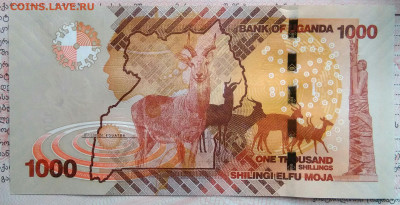 Уганда 1000 шиллингов 2021 года до 10.11.2025 - IMG_20251105_222207