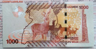 Уганда 1000 шиллингов 2024 года до 10.11.2025 - IMG_20251105_221540