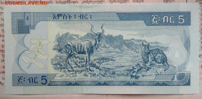 Эфиопия 5 быр 2017 года до 10.11.2025 - IMG_20251105_221155