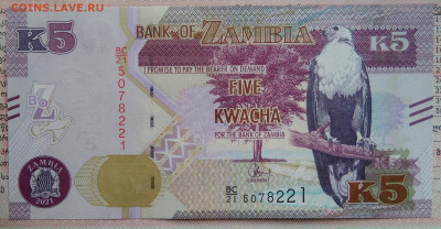 Замбия 5 квача 2021 года до 10.11.2025 - IMG_20251105_221010