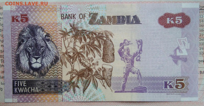 Замбия 5 квача 2021 года до 10.11.2025 - IMG_20251105_221028