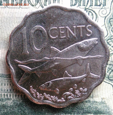 Багамы 10 центов 2010 года до 10.11.2025 - IMG_20251105_220103