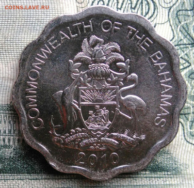 Багамы 10 центов 2010 года до 10.11.2025 - IMG_20251105_220118