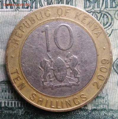 Кения 10 шиллингов 2009 года до 10.11.2025 - IMG_20251101_220654