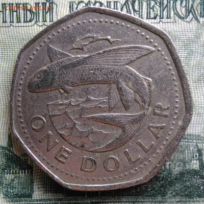 Барбадос 1 доллар 1989 года до 10.11.2025 - IMG_20251105_212453