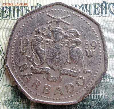 Барбадос 1 доллар 1989 года до 10.11.2025 - IMG_20251105_212513