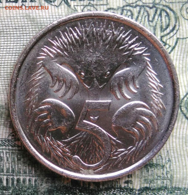 Австралия 5 центов 2016 года до 10.11.2025 - IMG_20251105_213012