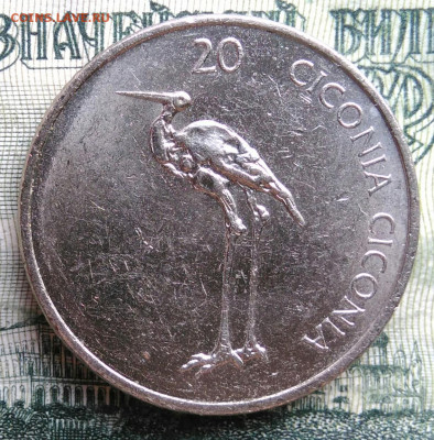Словения 20 толаров 2005 года до 10.11.2025 - IMG_20251105_213048