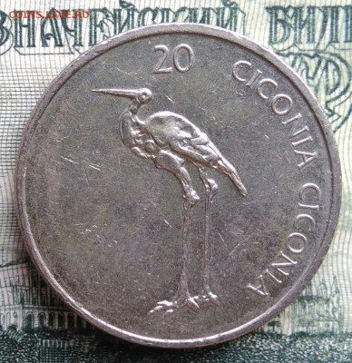 Словения 20 толаров 2006 года до 10.11.2025 - IMG_20251105_213122