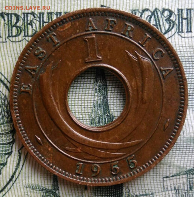 Британская Восточная Африка 1 цент 1955 года до 10.11.2025 - IMG_20251105_212257