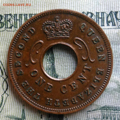 Британская Восточная Африка 1 цент 1955 года до 10.11.2025 - IMG_20251105_212317