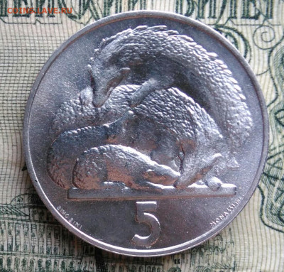 Сан-Марино 5 лир 1975 года до 10.11.2025 - IMG_20251105_214933