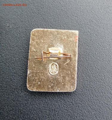 1 разряд гирьевой спорт до 12.11.25 в 22:00 по мск - IMG_20251106_140949