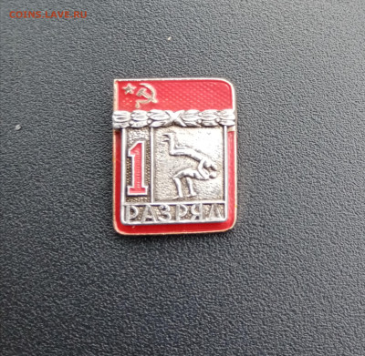 1 разряд борьба до 12.11.25 в 22:00 по мск - IMG_20251106_143041