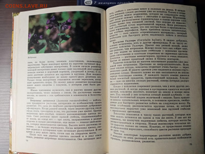 Растительный мир нашей родины до 12.11.25 в 22:00 по мск - IMG_20251106_233320