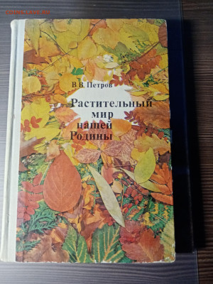 Растительный мир нашей родины до 12.11.25 в 22:00 по мск - IMG_20251106_233344