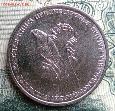 Приднестровье 1 рубль 2019 года до 10.11.2025 - IMG_20251106_230650