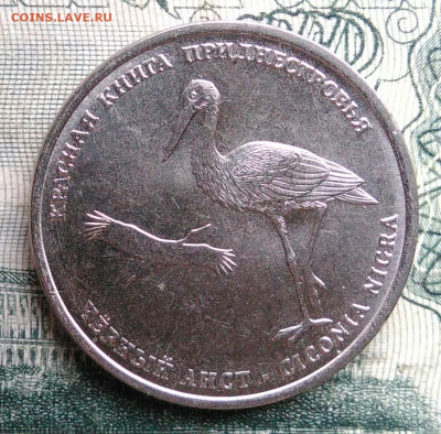 Приднестровье 1 рубль 2019 года до 10.11.2025 - IMG_20251106_230615