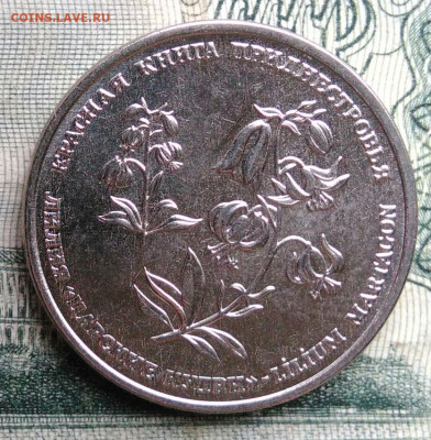 Приднестровье 1 рубль 2019 года до 10.11.2025 - IMG_20251106_192236