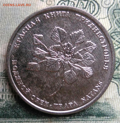 Приднестровье 1 рубль 2019 года до 10.11.2025 - IMG_20251106_184322