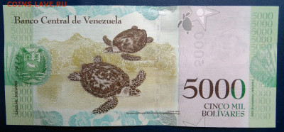 Венесуэла 5000 боливаров 2017 года до 10.11.2025 - IMG_20251107_020540