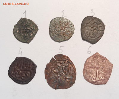 Орда или Крымское ханство медные монеты. - IMG_20251031_131203