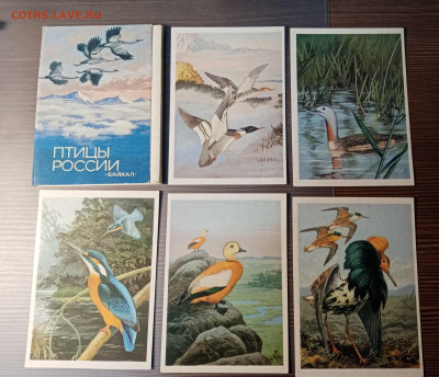 Набор открыток птицы озера Байкал до 14.11.25 в 22:00 по мск - IMG_20251108_012221