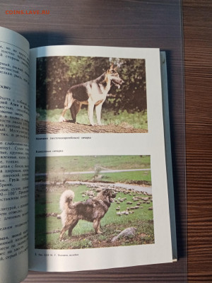 Книга собаковода до 14.11.25 в 22:00 по мск - IMG_20251108_012855