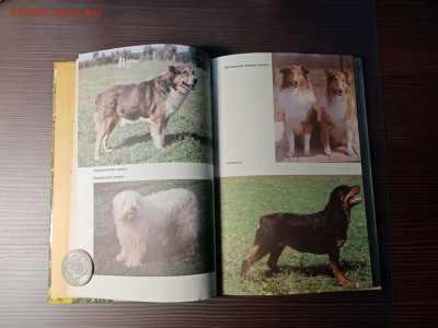 Книга собаковода до 14.11.25 в 22:00 по мск - IMG_20251108_012911