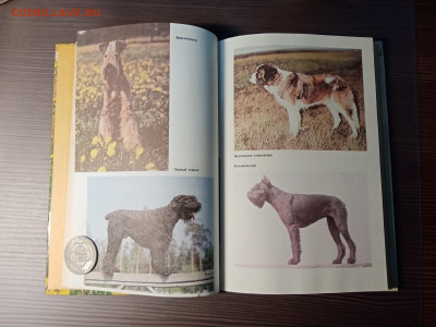 Книга собаковода до 14.11.25 в 22:00 по мск - IMG_20251108_012929