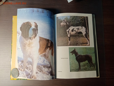 Книга собаковода до 14.11.25 в 22:00 по мск - IMG_20251108_012940