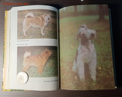 Книга собаковода до 14.11.25 в 22:00 по мск - IMG_20251108_013100