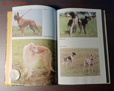 Книга собаковода до 14.11.25 в 22:00 по мск - IMG_20251108_013117